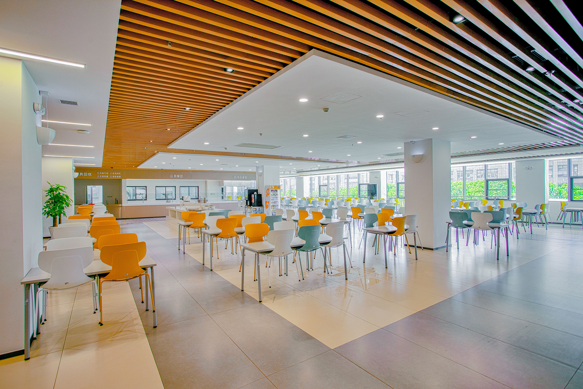 蓝月亮料免资料大全