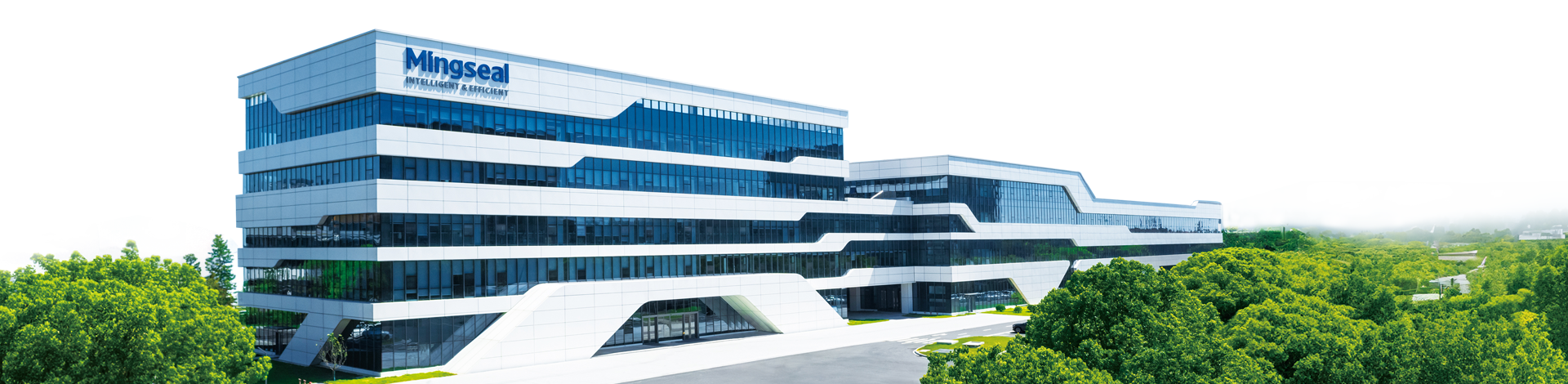 蓝月亮料免资料大全