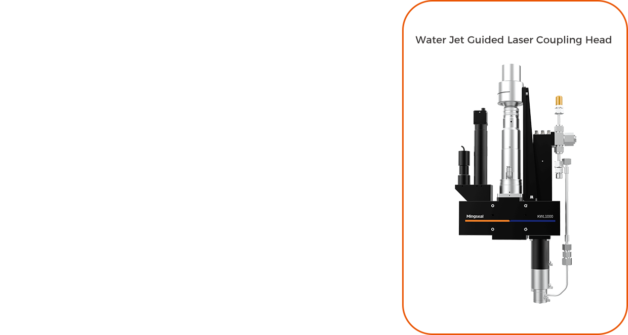 蓝月亮料免资料大全